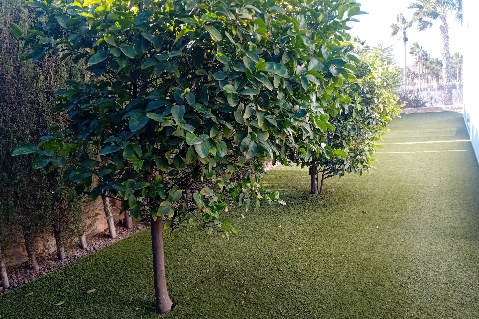 Reventa - Villa independiente - Algorfa - La Finca Golf