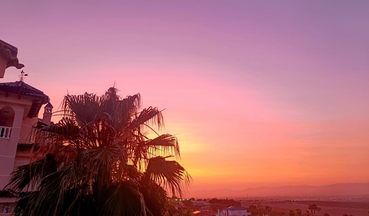 Reventa - Villa independiente - Algorfa - Lomas de Juliana