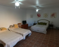 Reventa - Villa independiente - Algorfa