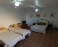 Reventa - Villa independiente - Algorfa