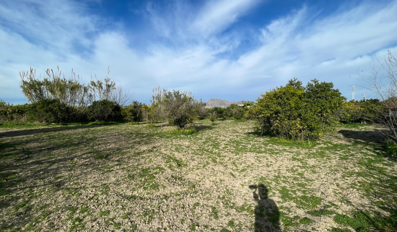 Reventa - Villa independiente - Benejúzar - Comunidad Valenciana