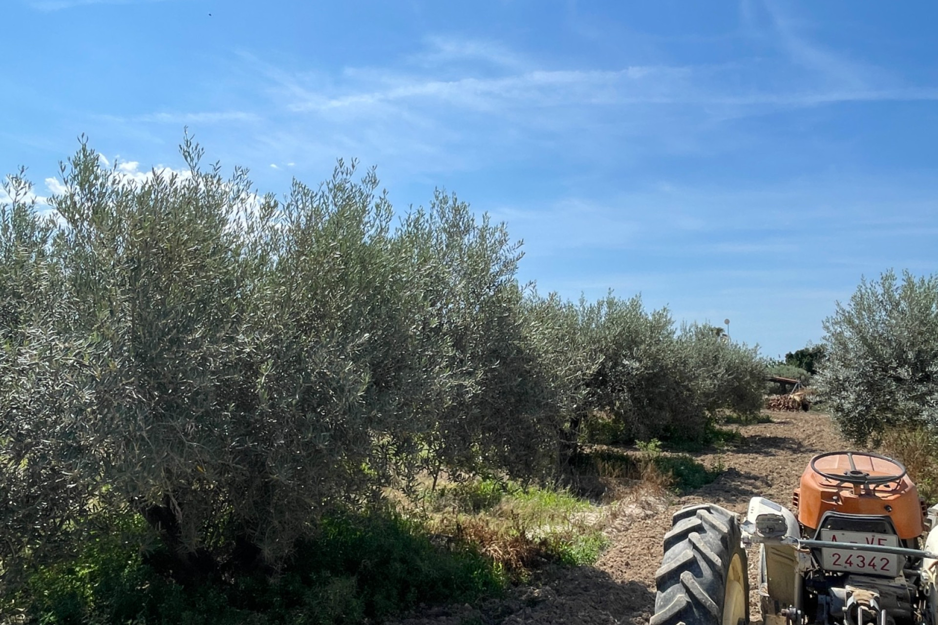 Reventa - Villa independiente - Crevillente