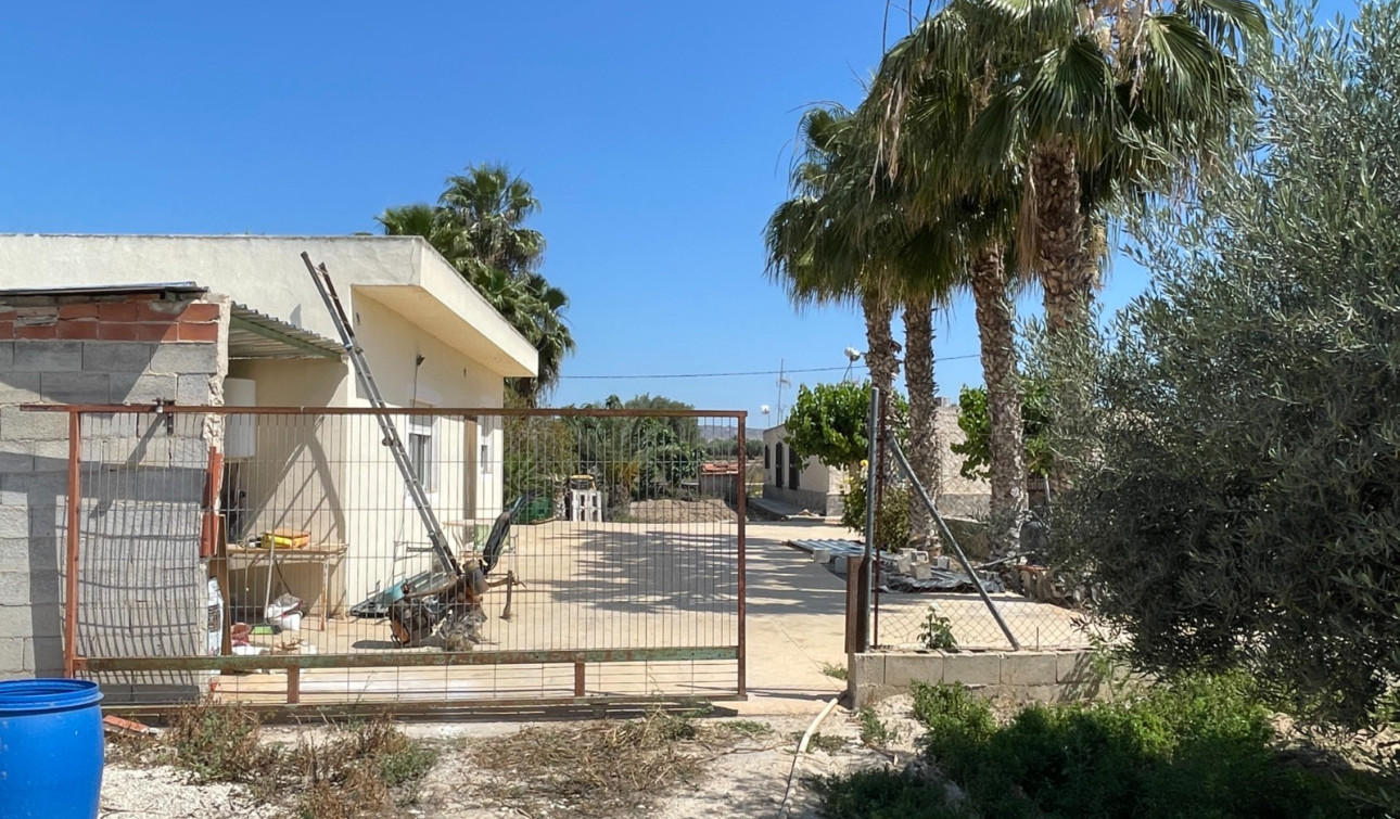 Reventa - Villa independiente - Crevillente