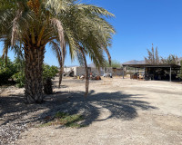 Reventa - Villa independiente - Crevillente