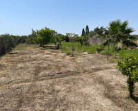 Reventa - Villa independiente - Daya Nueva