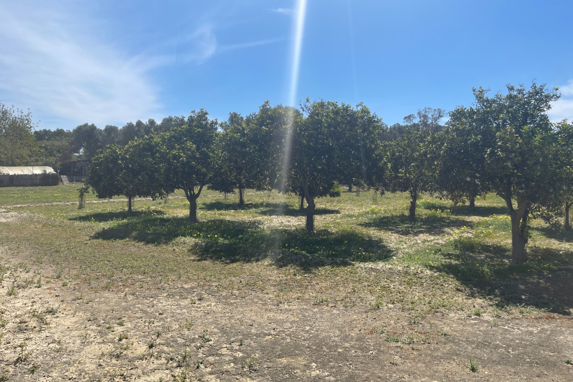 Reventa - Villa independiente - Guardamar del Segura - Valencian Community