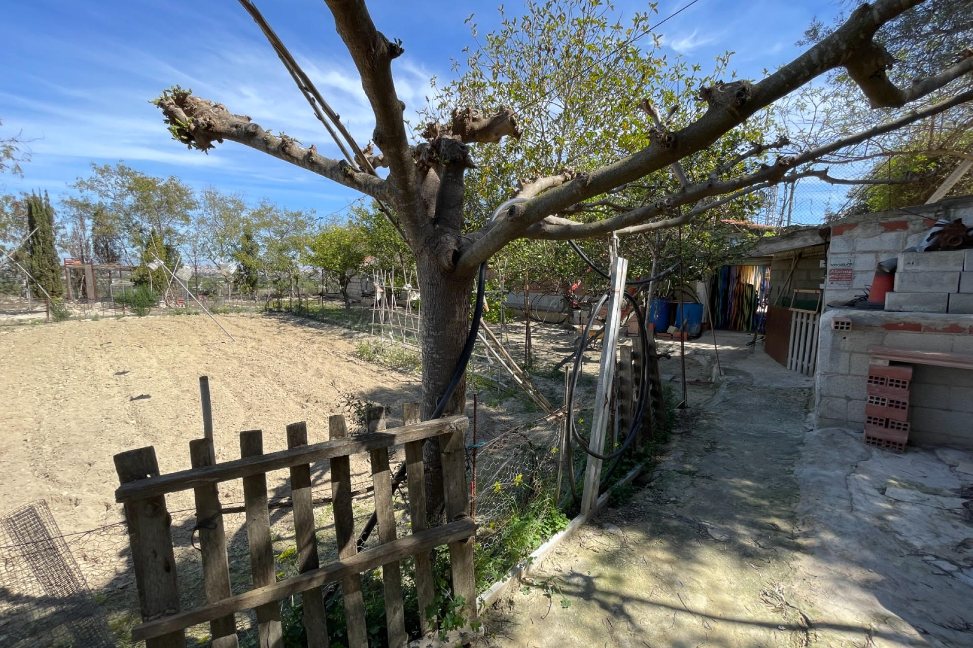 Reventa - Villa independiente - Guardamar del Segura - Valencian Community