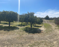 Reventa - Villa independiente - Guardamar del Segura - Valencian Community