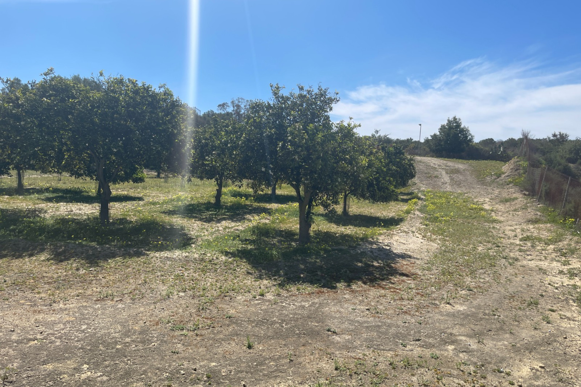 Reventa - Villa independiente - Guardamar del Segura - Valencian Community