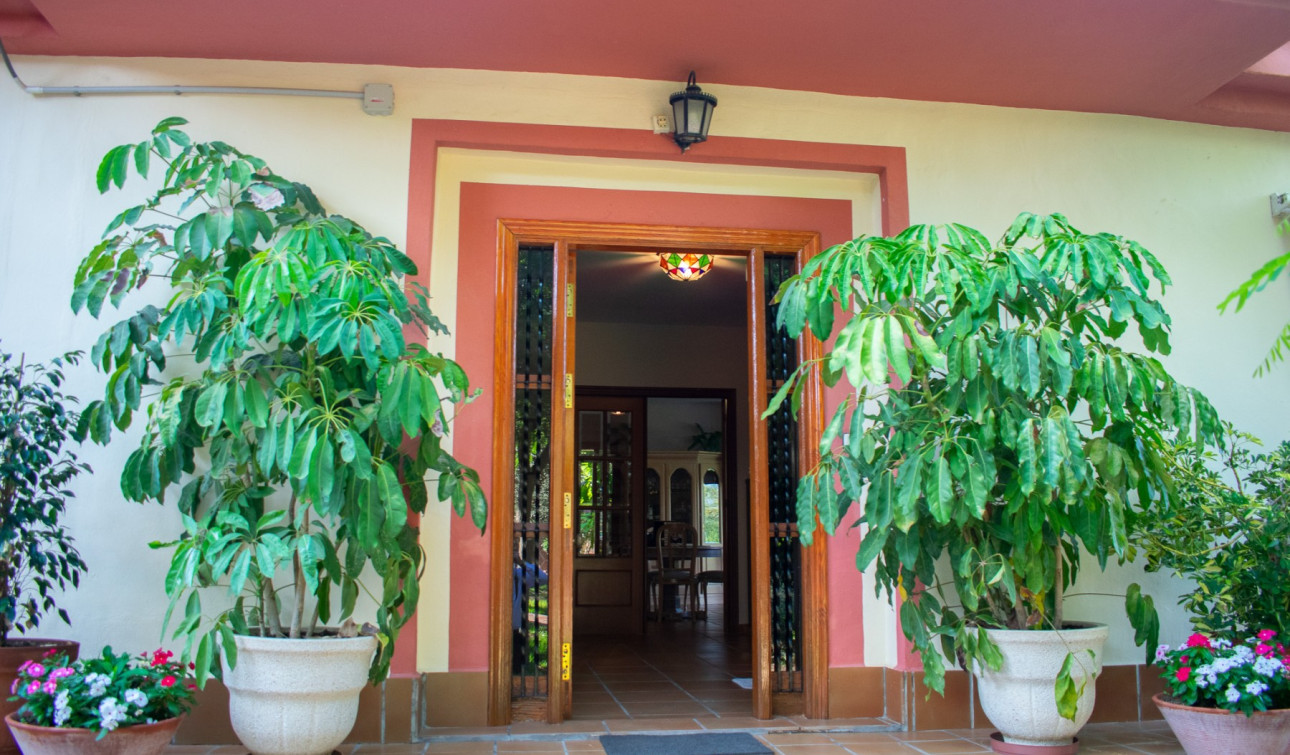 Reventa - Villa independiente - Molina De Segura - Torre de Cotillas