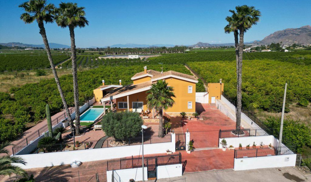 Reventa - Villa independiente - Orihuela - CAMPO