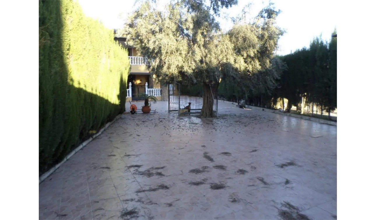 Reventa - Villa independiente - Orihuela - CAMPO