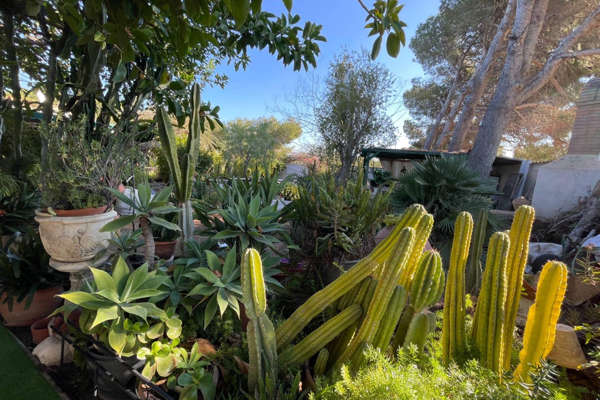 Reventa - Villa independiente - Orihuela Costa - Lomas de Cabo Roig