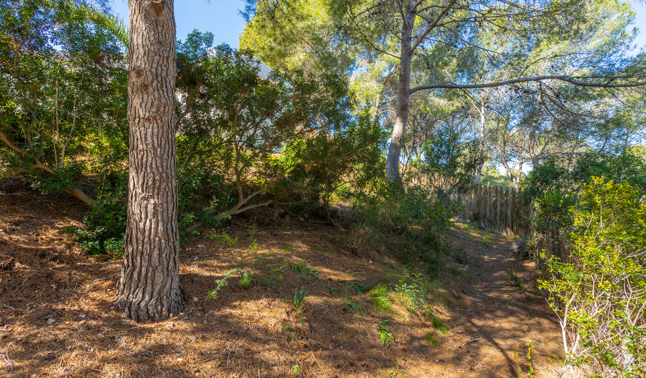 Reventa - Villa independiente - Orihuela - Orihuela Costa