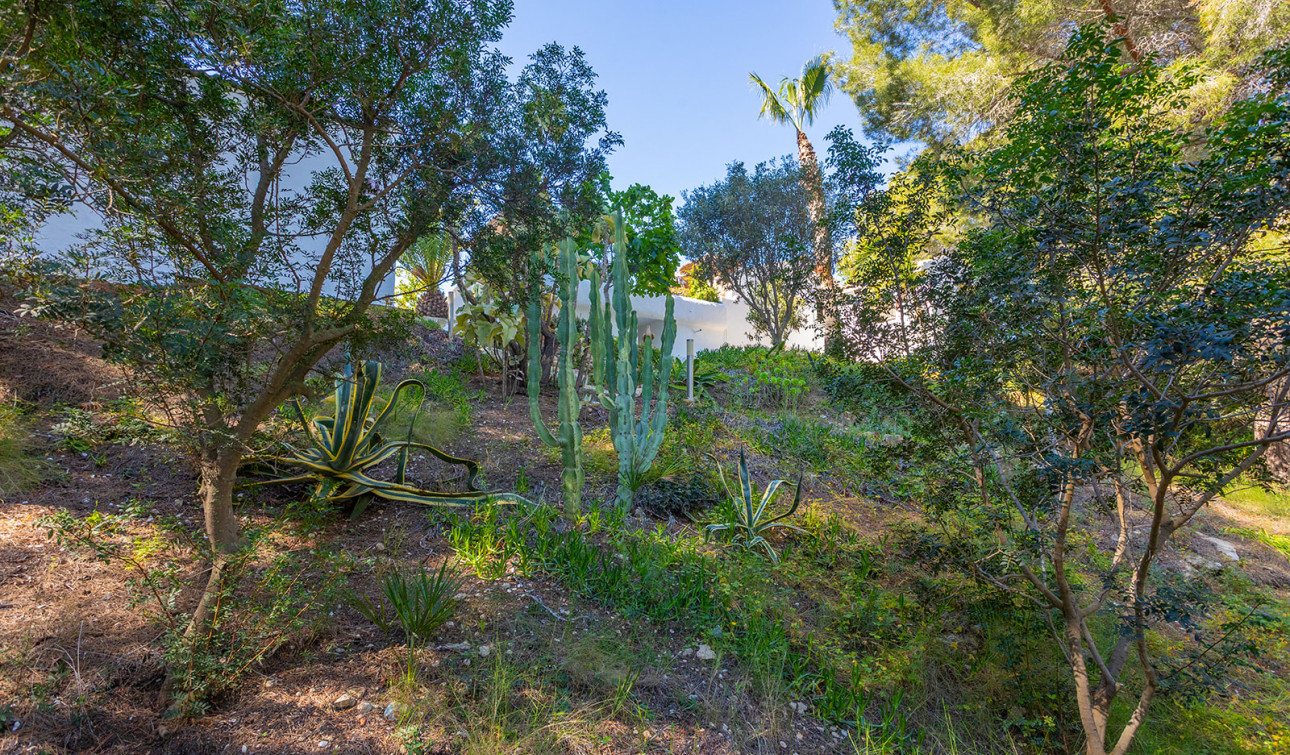 Reventa - Villa independiente - Orihuela - Orihuela Costa