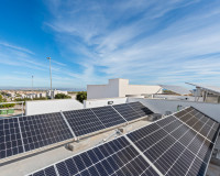 Reventa - Villa independiente - San Miguel de Salinas - Inland