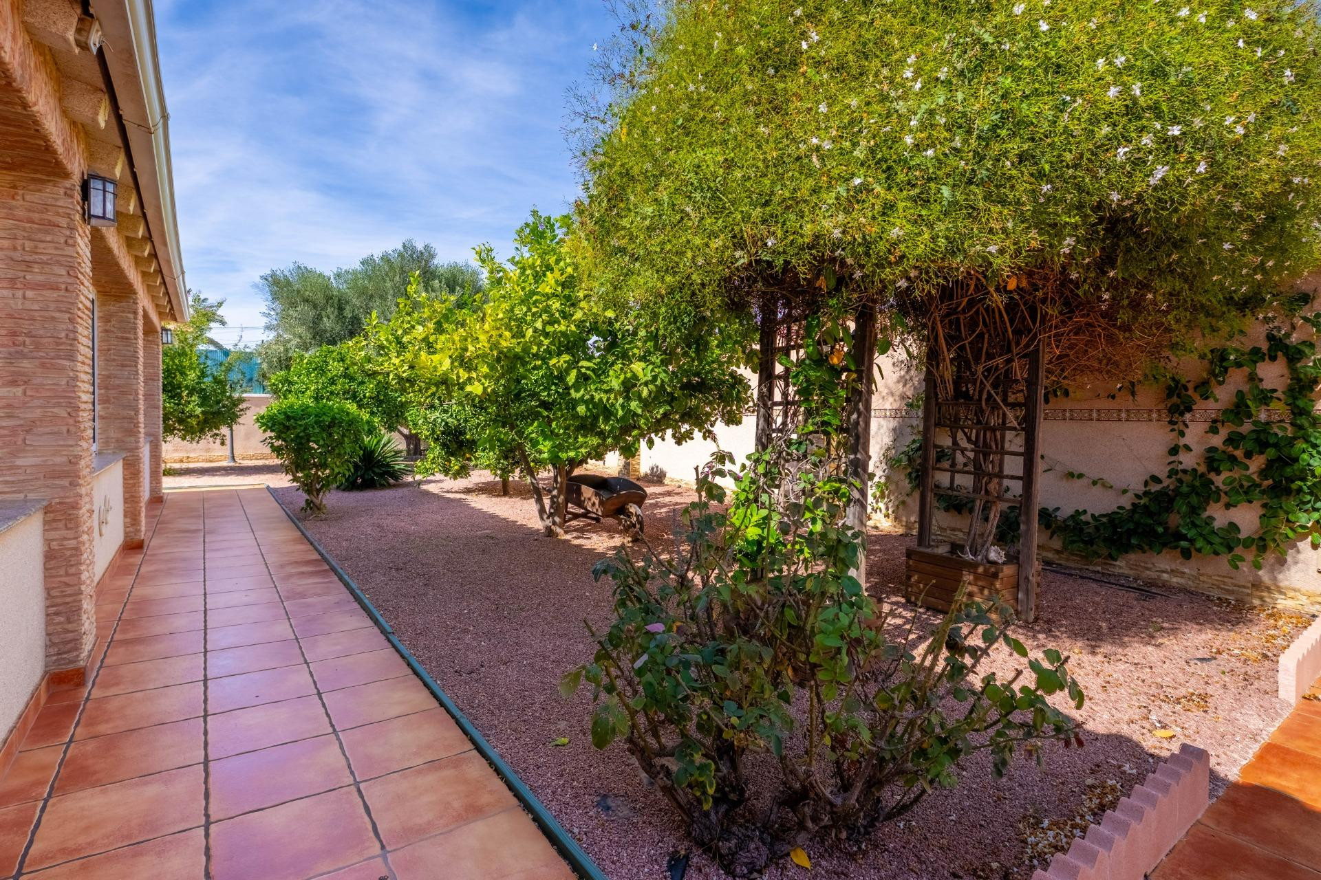 Reventa - Villa independiente - Torrevieja - El chaparral