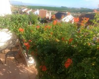 Revente - Appartement - Algorfa - La Finca Golf