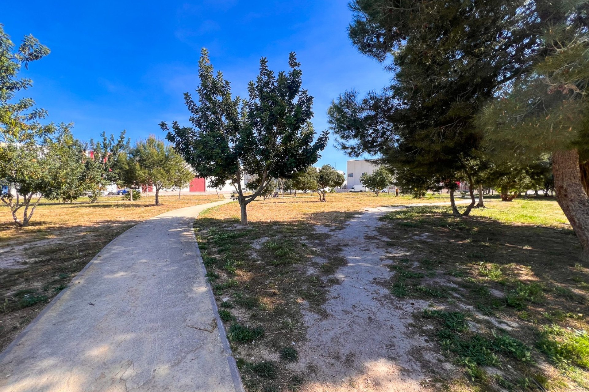 Revente - Appartement - Almoradí