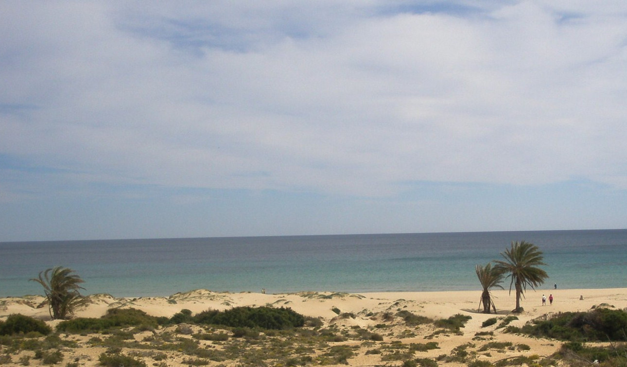 Revente - Appartement - Gran Alacant