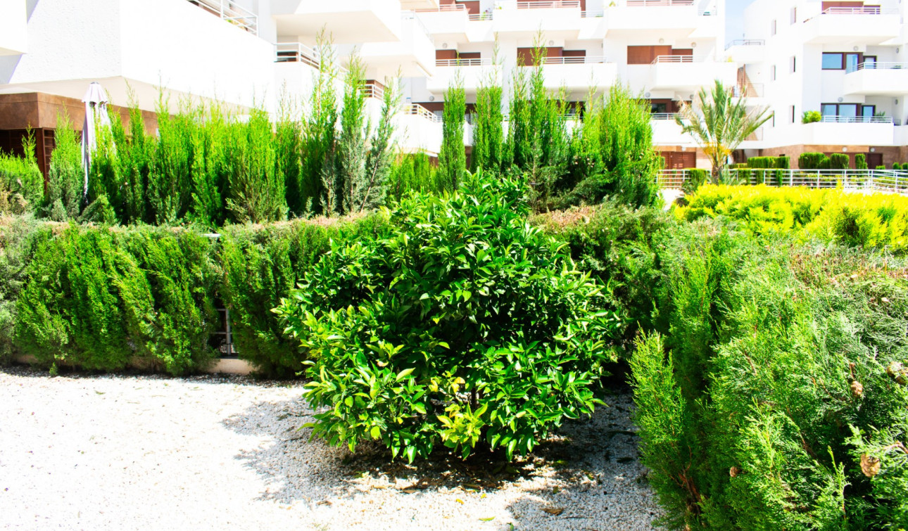 Revente - Appartement - Orihuela Costa - Cabo Roig