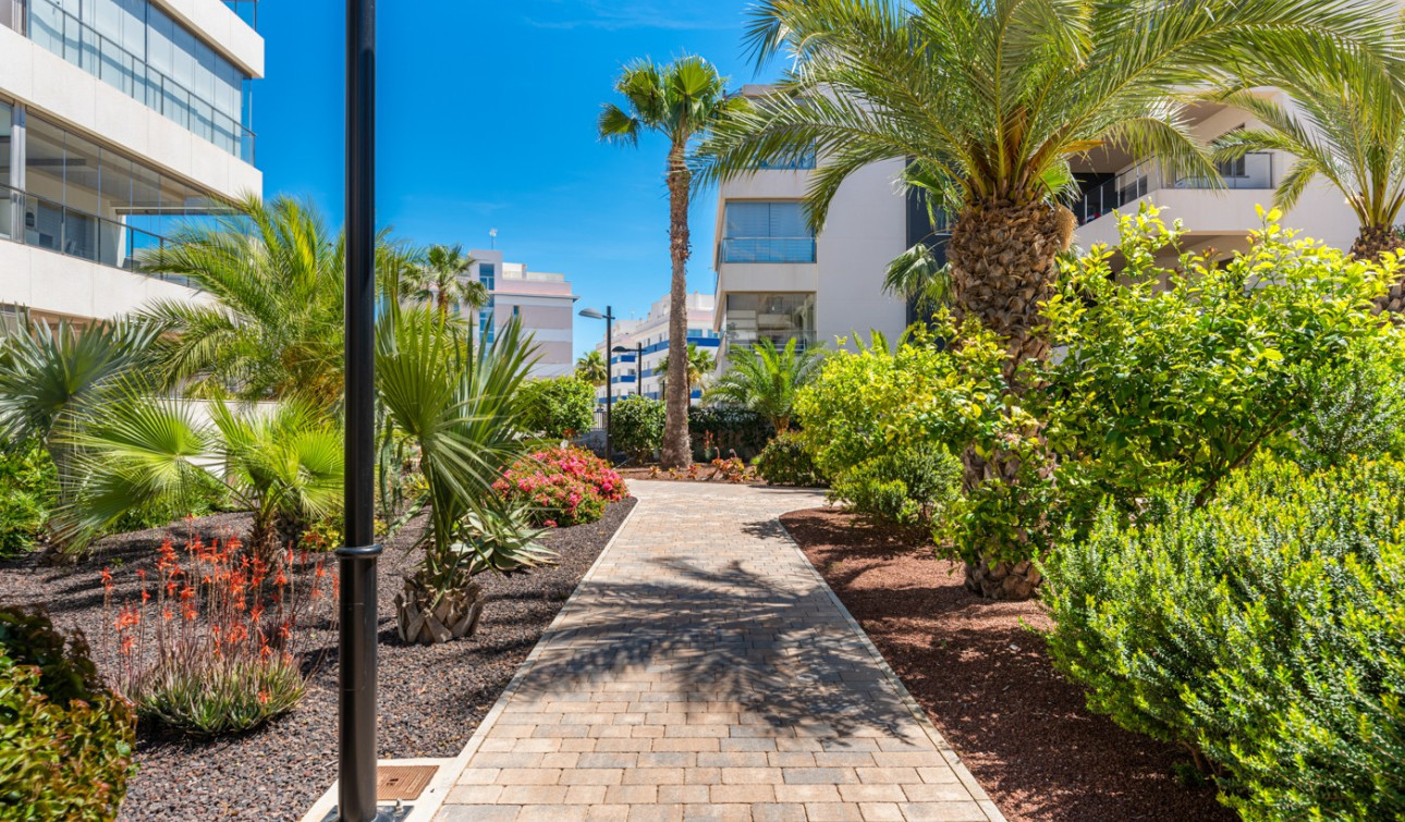 Revente - Appartement - Orihuela Costa - Los Dolses