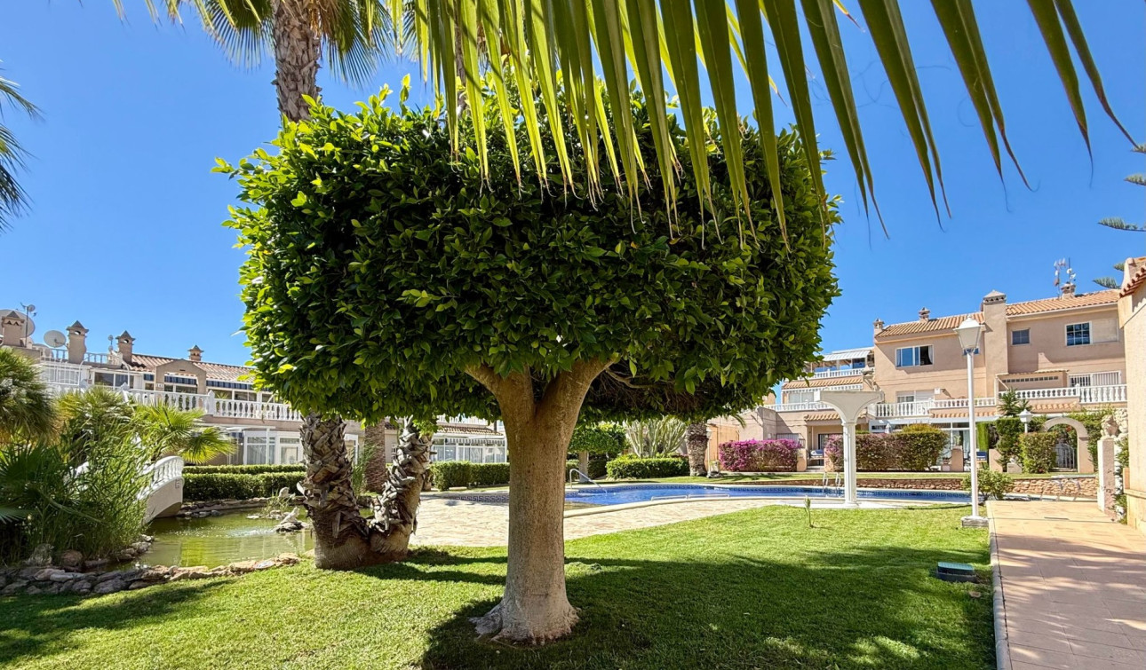 Revente - Appartement - Orihuela Costa - Playa Flamenca