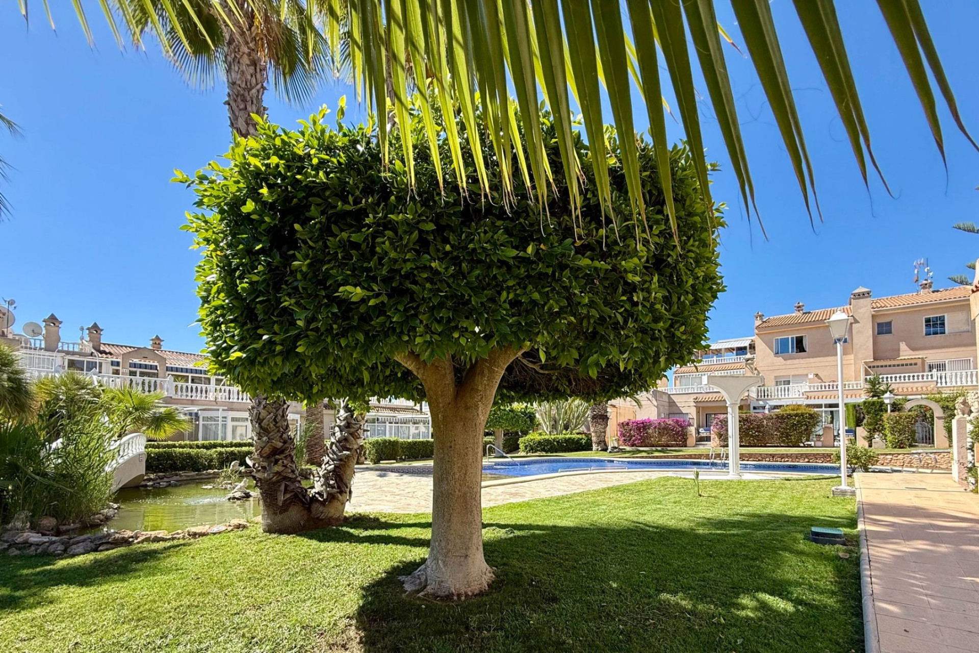 Revente - Appartement - Orihuela Costa - Playa Flamenca