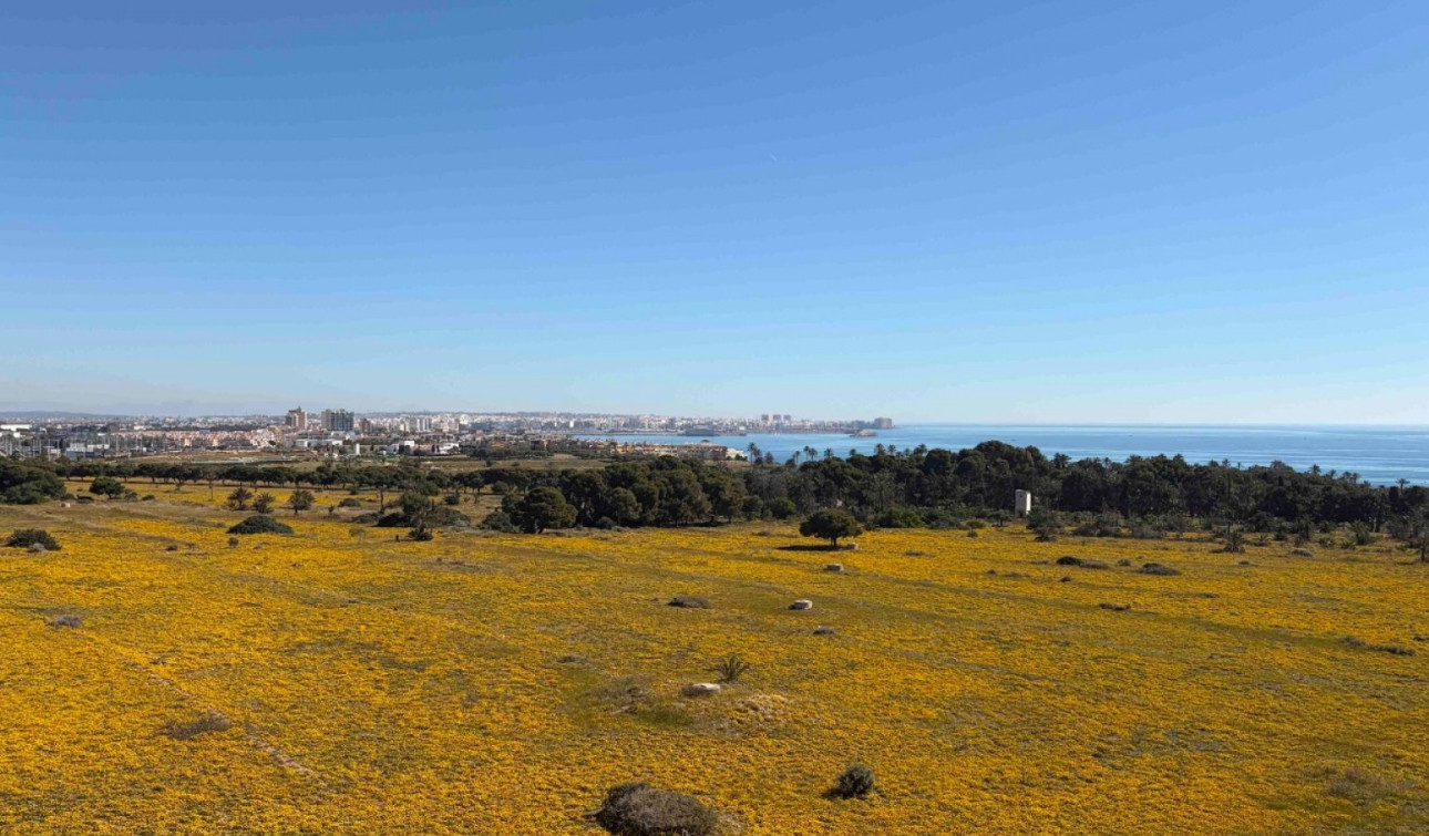 Revente - Appartement - Orihuela Costa - Punta Prima
