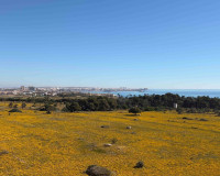 Revente - Appartement - Orihuela Costa - Punta Prima