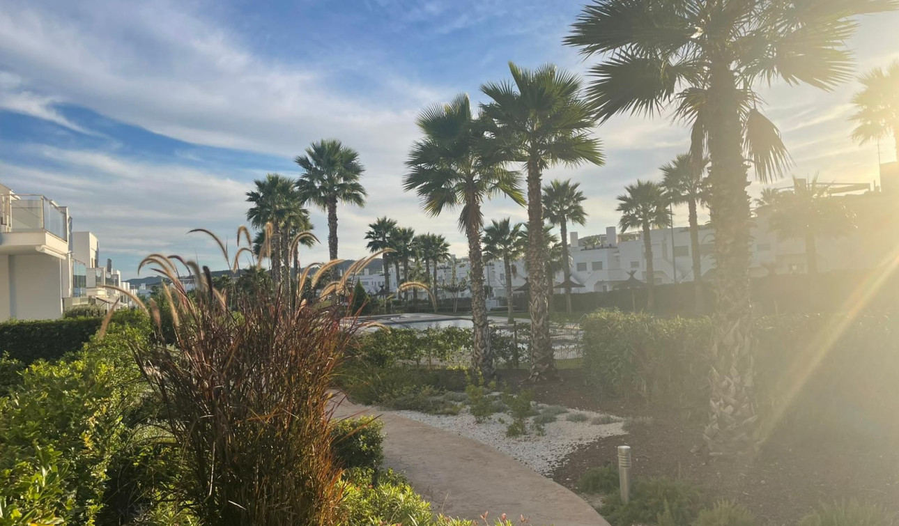 Revente - Appartement - Orihuela - Vistabella