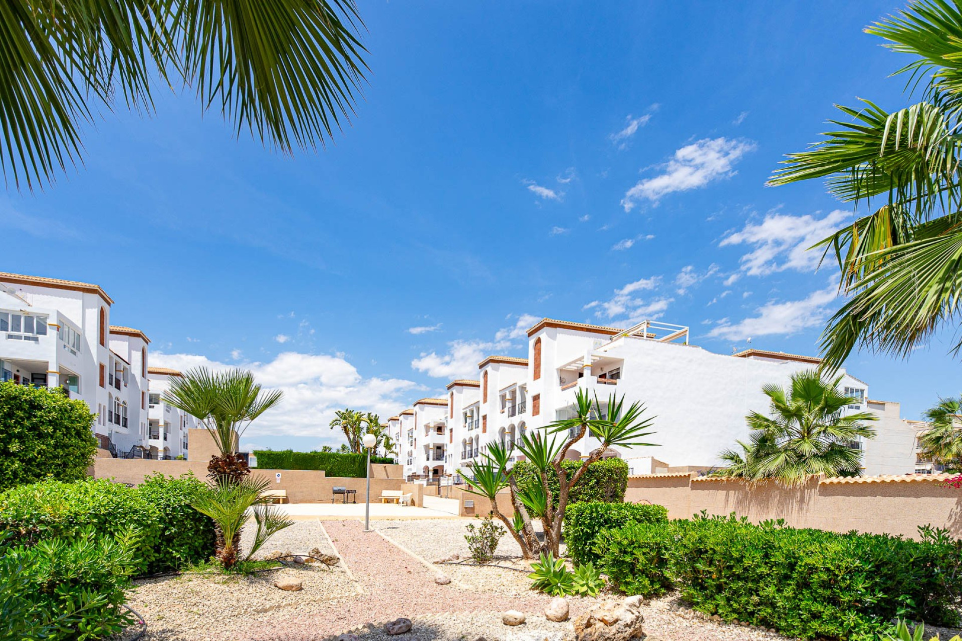 Revente - Appartement - Punta Prima - La Ciñuelica