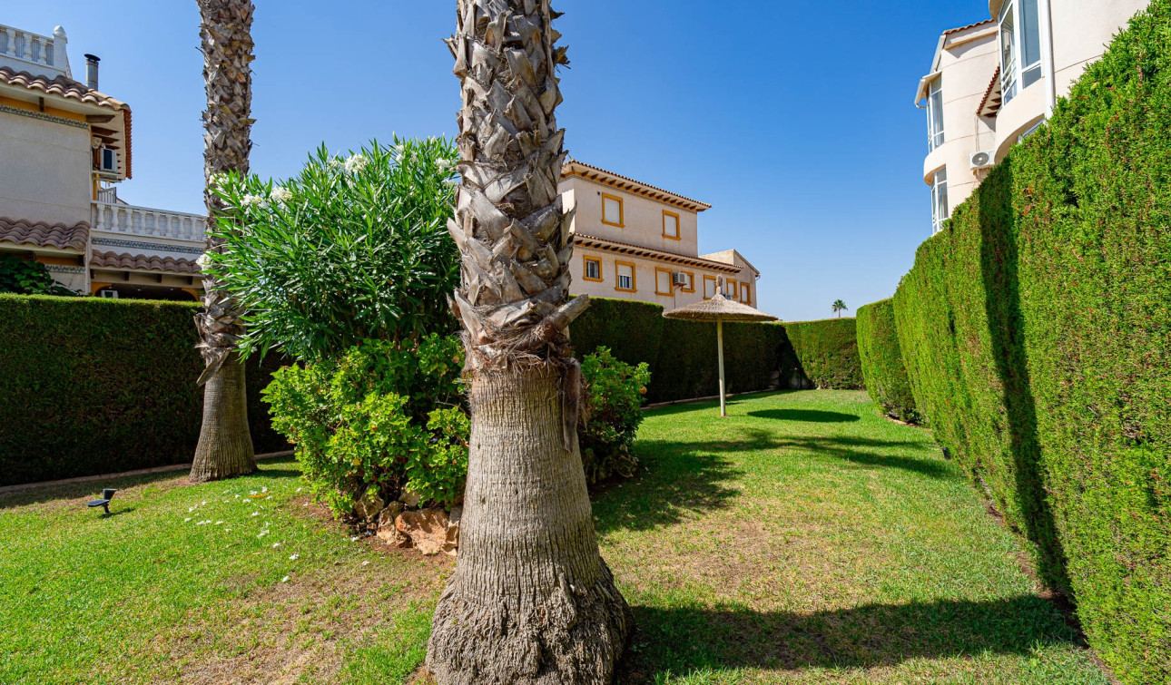 Revente - Appartement - Punta Prima