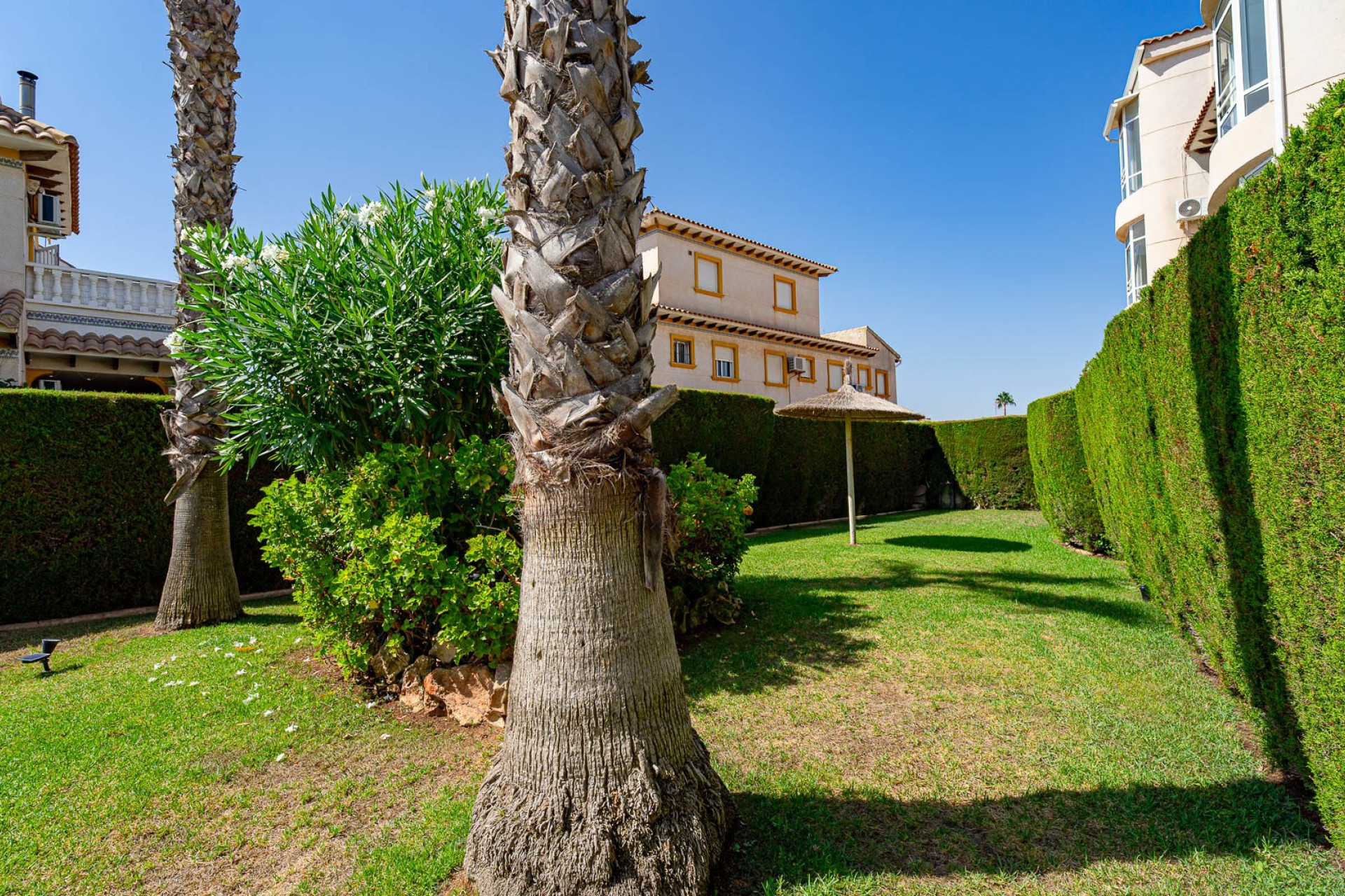 Revente - Appartement - Punta Prima