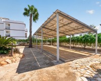Revente - Appartement - Punta Prima