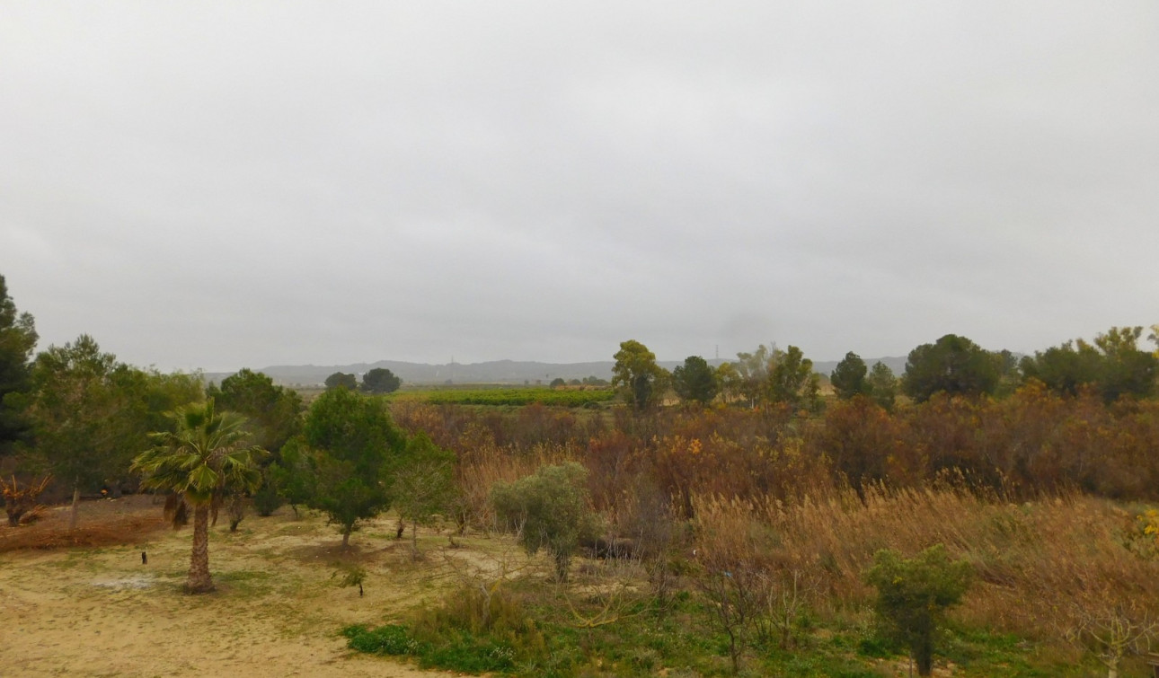 Revente - Appartement - Torremendo