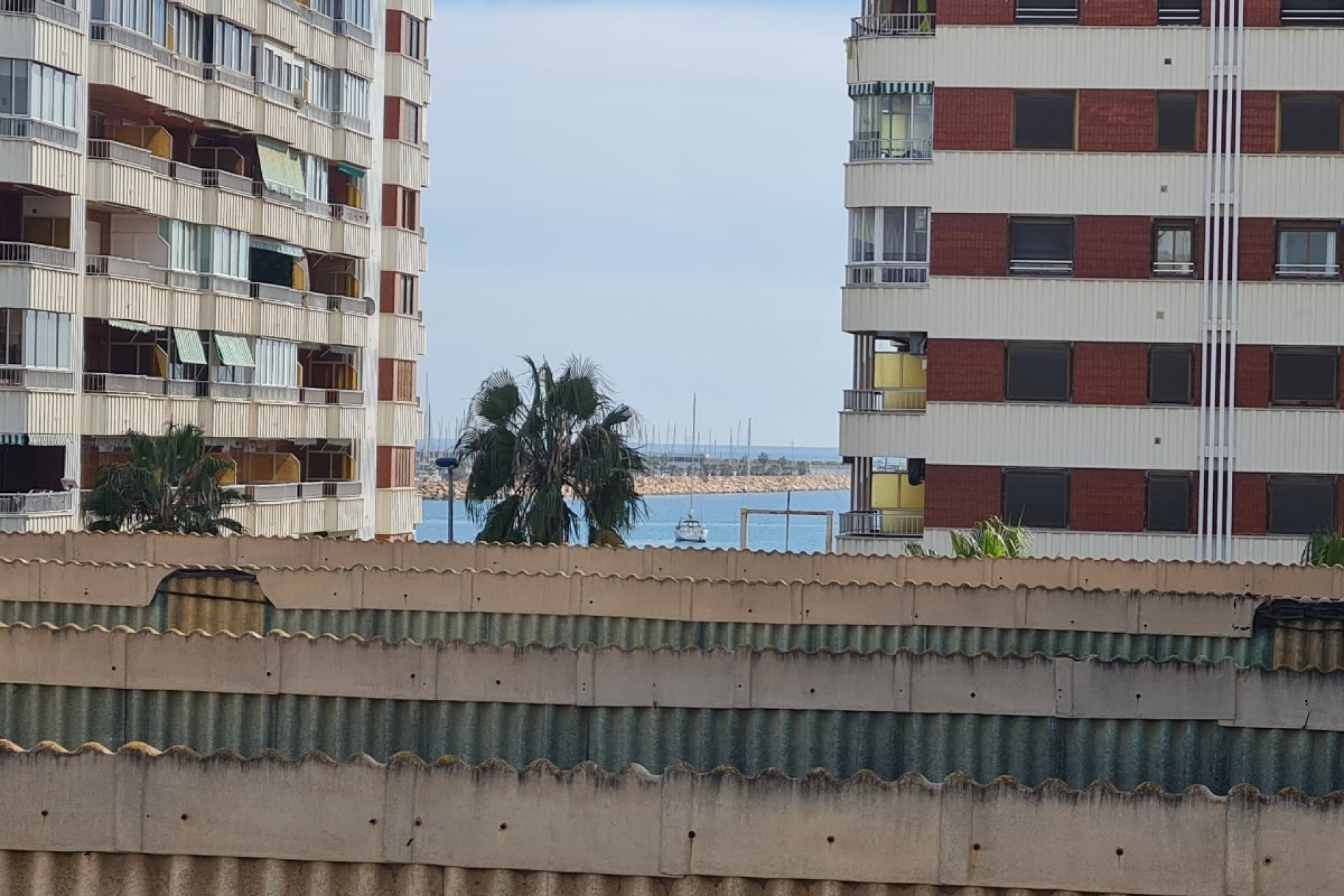 Revente - Appartement - Torrevieja - Acequion