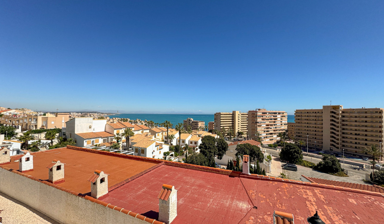 Revente - Appartement - Torrevieja - Cabo cervera