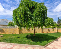 Revente - Appartement - Torrevieja - El chaparral