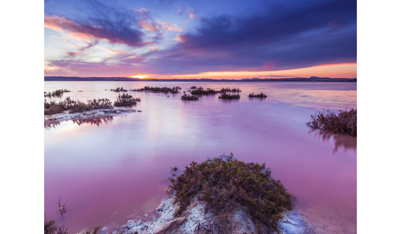 Revente - Appartement - Torrevieja - La Mata