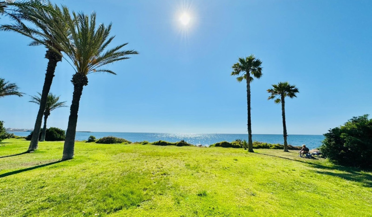 Revente - Appartement - Torrevieja - La Veleta