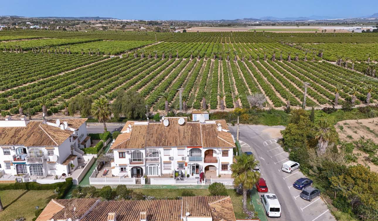 Revente - Appartement - Torrevieja - Lago Jardin