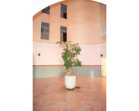 Revente - Appartement - Torrevieja - Playa de los Locos