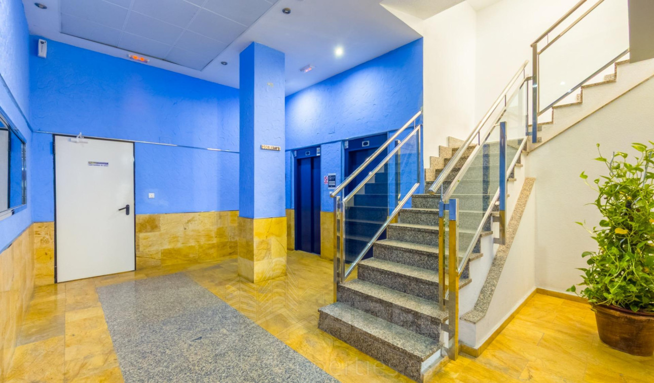 Revente - Appartement - Torrevieja - Playa de los locos