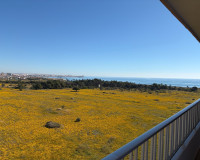 Revente - Appartement - Torrevieja - Punta Prima