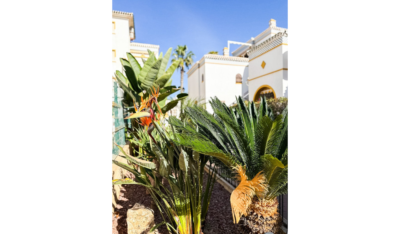 Revente - Appartement - Torrevieja - Torrelamata - La Mata