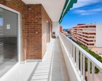 Revente - Appartement - Torrevieja - torrevieja