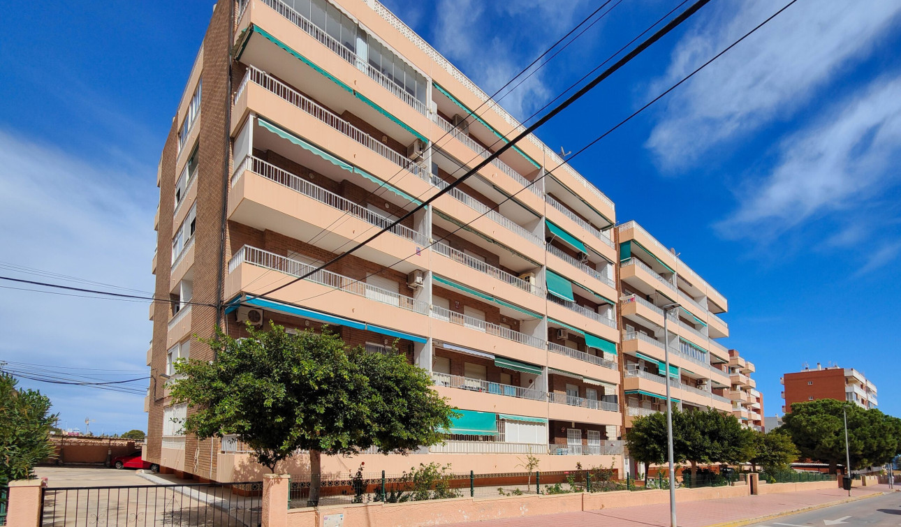 Revente - Appartement - Torrevieja - torrevieja