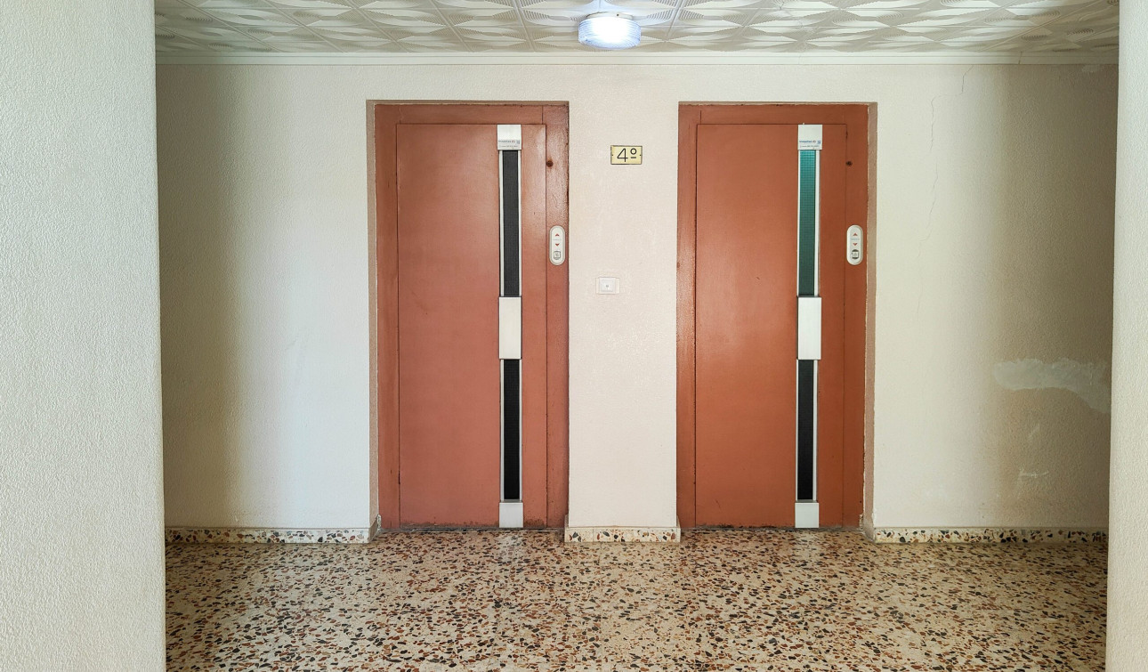 Revente - Appartement - Torrevieja - torrevieja