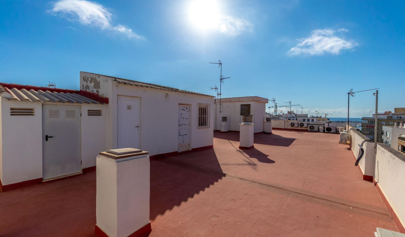 Revente - Appartement - Torrevieja - torrevieja